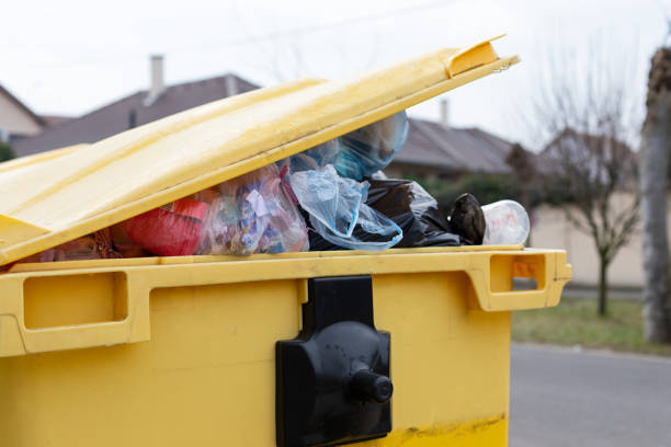 Recycling Services for Junk in Charlottesville, VA